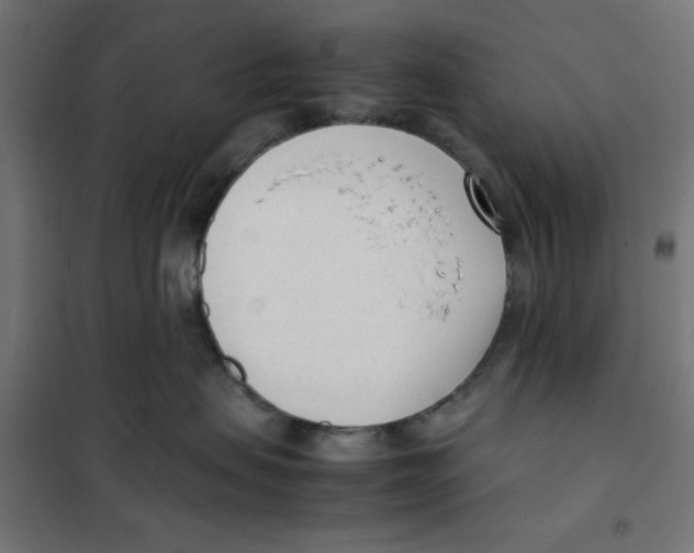 X0000101660479200808071025