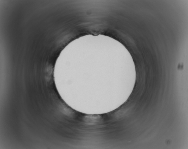 X0000101660480200808071025