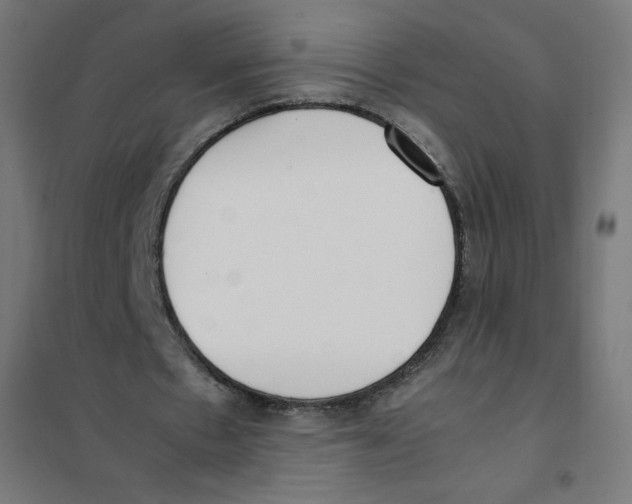 X0000101660481200808071025