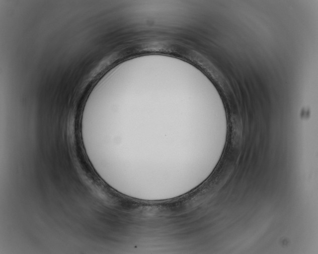 X0000101660482200808071025