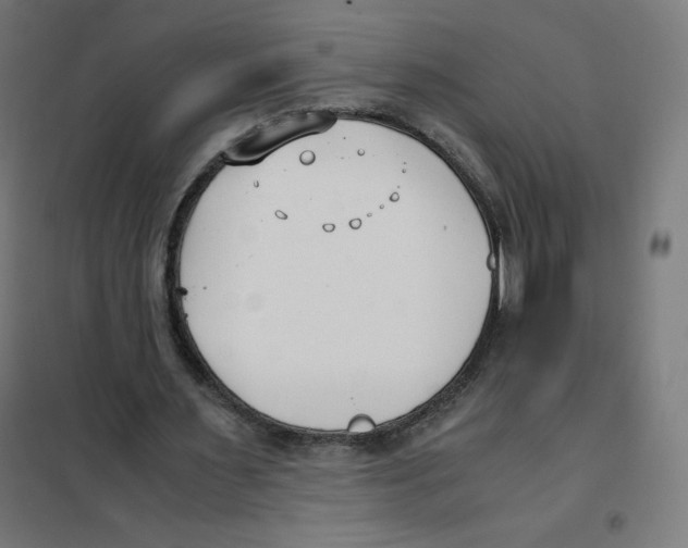 X0000101660483200808071025