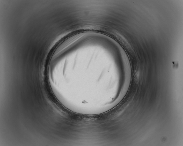 X0000101660484200808071025