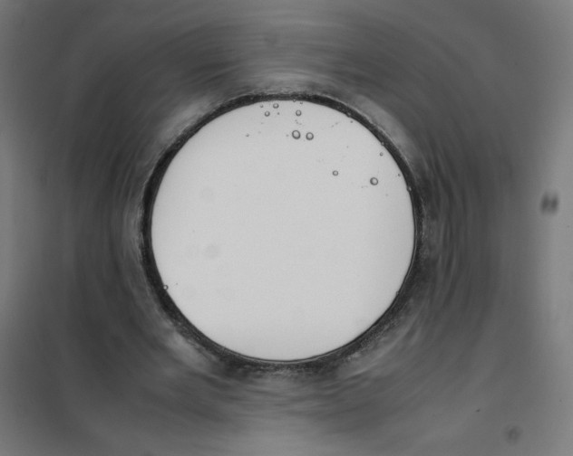 X0000101660485200808071025