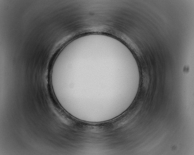 X0000101660486200808071025