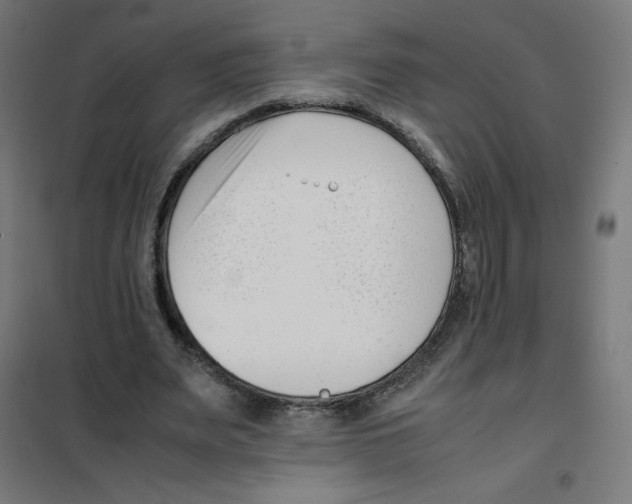 X0000101660487200808071024