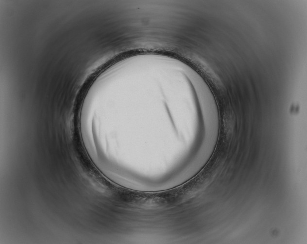 X0000101660488200808071024