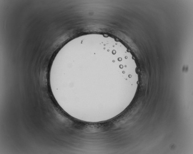 X0000101660489200808071024