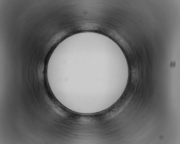 X0000101660490200808071024