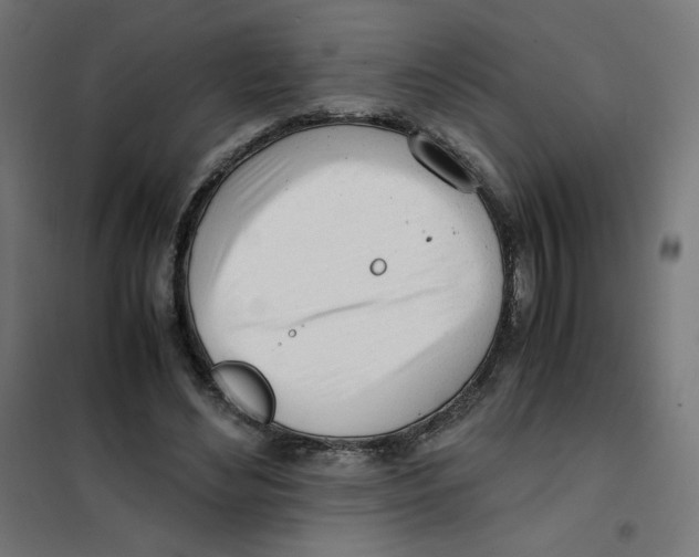 X0000101660492200808071024