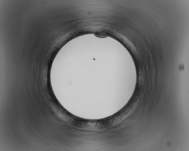 X0000101660493200808071024