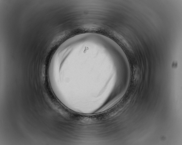 X0000101660494200808071024