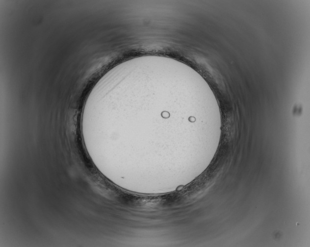 X0000101660495200808071024