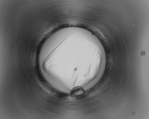 X0000101660496200808071024