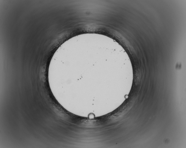 X0000101660497200808071024