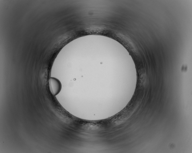 X0000101660498200808071024