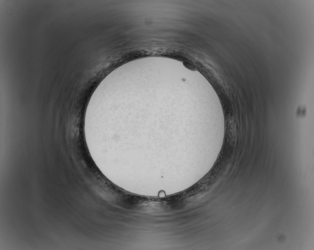 X0000101660499200808071024