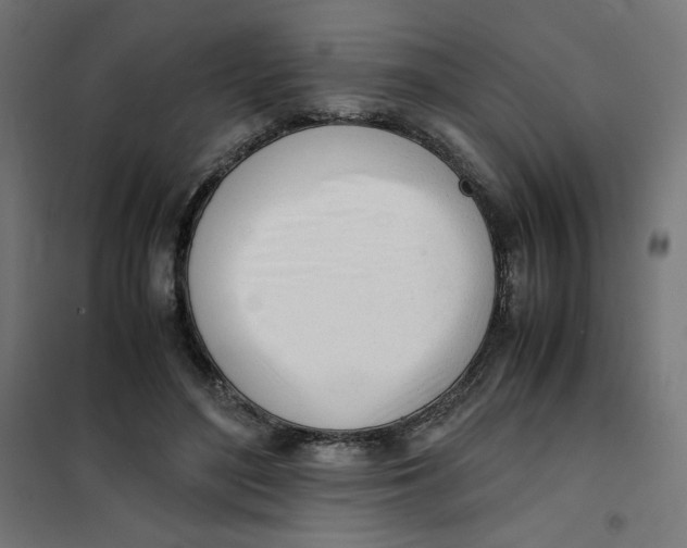 X0000101660500200808071024
