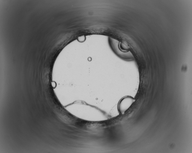 X0000101660501200808071024