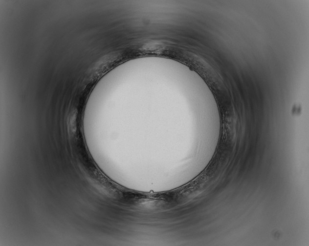 X0000101660504200808071024