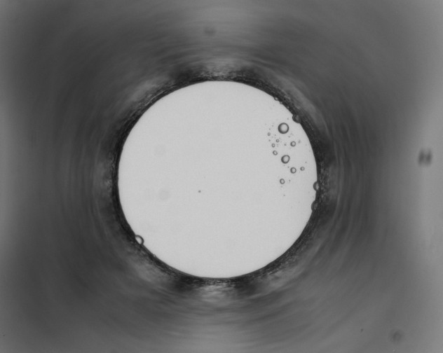 X0000101660505200808071024
