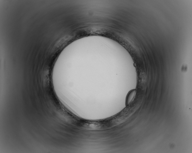 X0000101660506200808071024