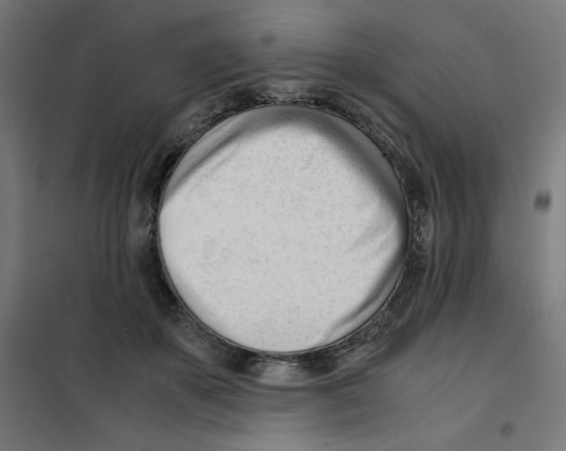 X0000101660507200808071024