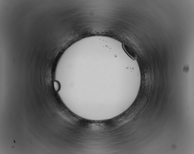 X0000101660508200808071024