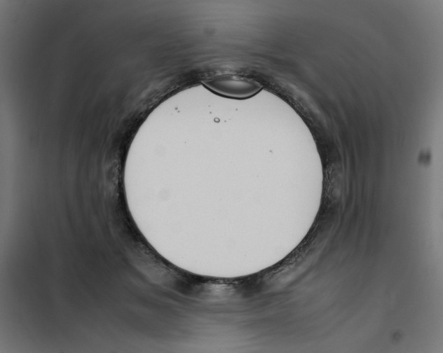 X0000101660509200808071024