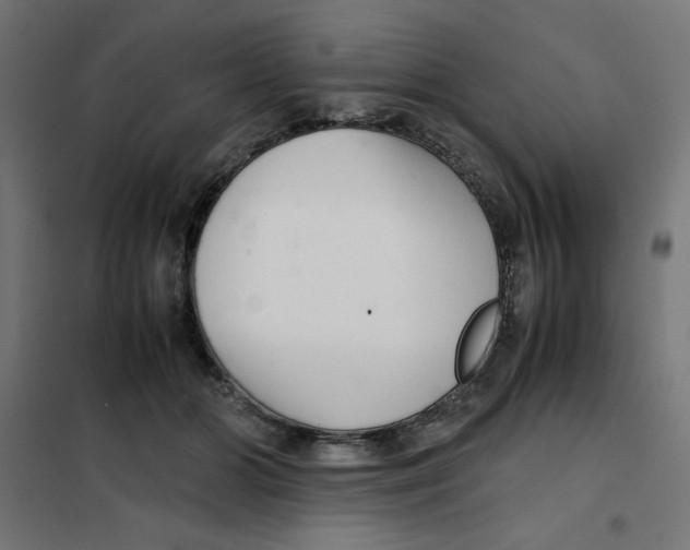 X0000101660510200808071024