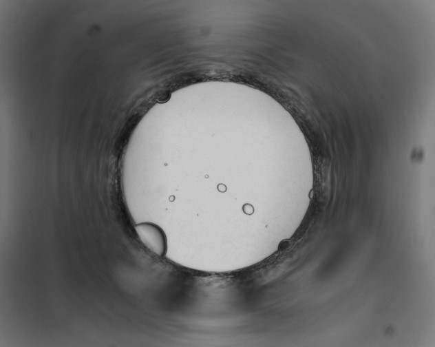 X0000101660511200808071024