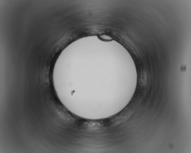 X0000101660512200808071024