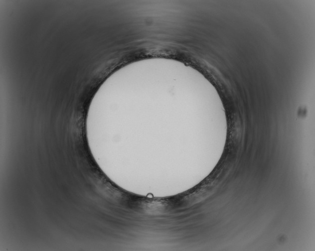 X0000101660513200808071024