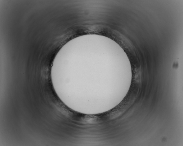 X0000101660514200808071024