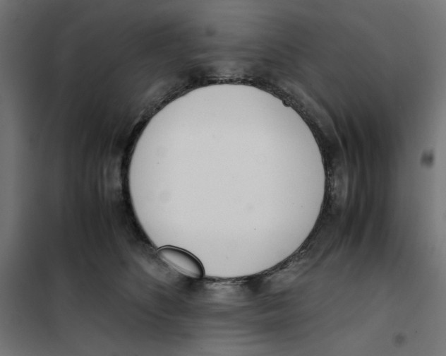X0000101660516200808071024