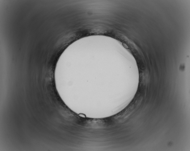 X0000101660517200808071024