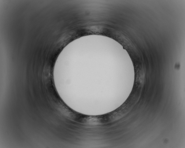 X0000101660518200808071024