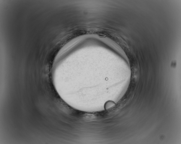 X0000101660519200808071024