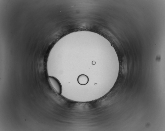 X0000101660520200808071024