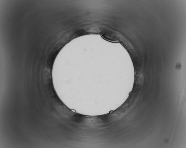 X0000101660521200808071024