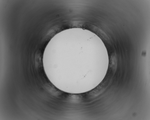X0000101660522200808071024