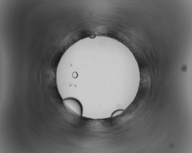 X0000101660523200808071024
