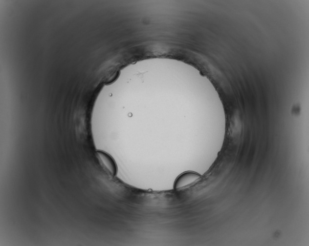 X0000101660524200808071024
