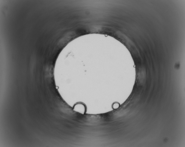 X0000101660525200808071024