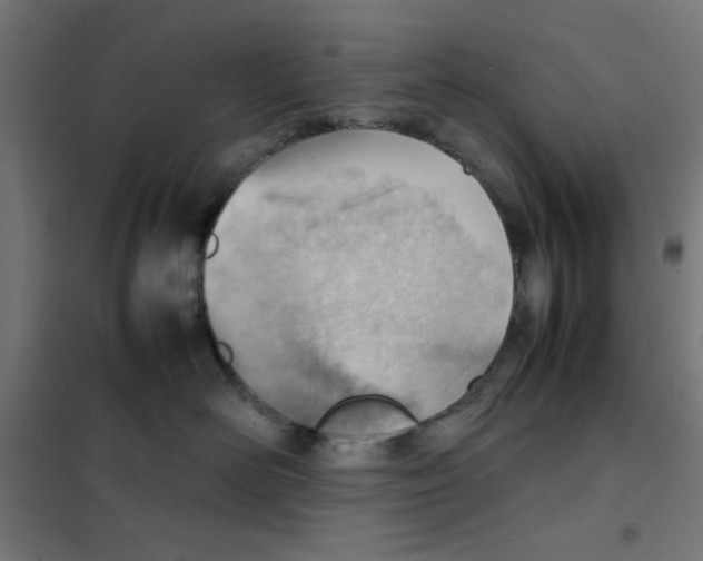 X0000101660526200808071024
