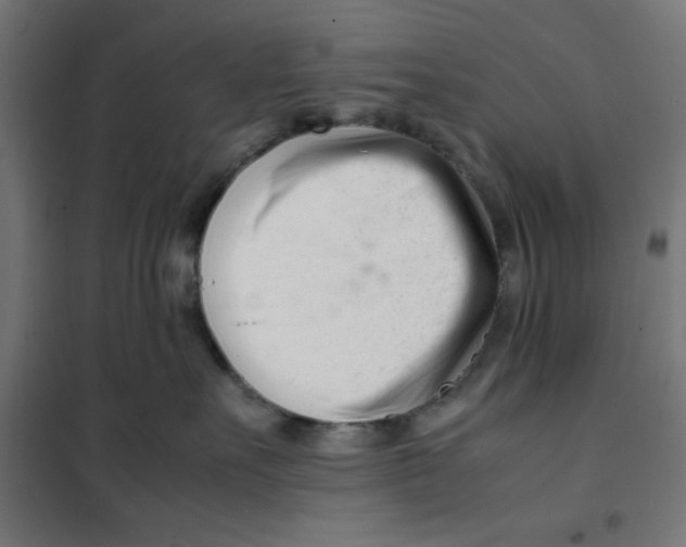 X0000101660527200808071024