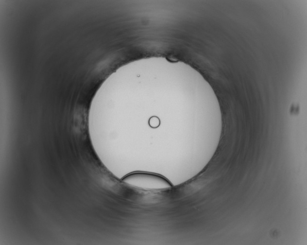 X0000101660528200808071024