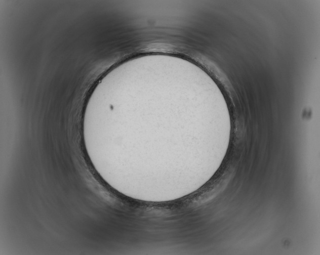 X0000101660529200808071023