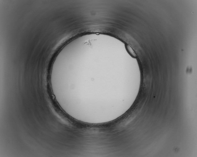 X0000101660530200808071023
