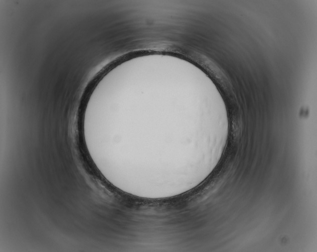 X0000101660532200808071023