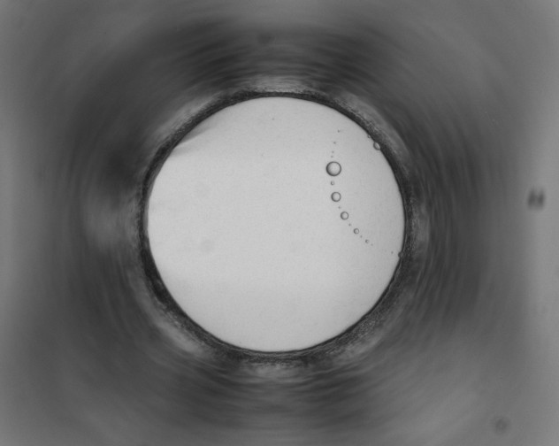 X0000101660533200808071023